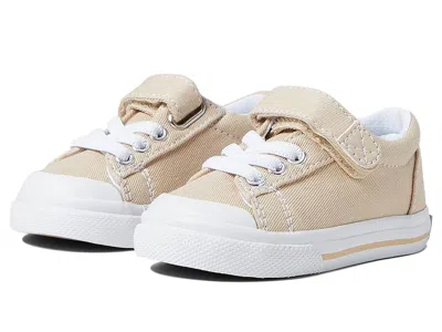 Footmates Jordan (infant/toddler/little Kid) Kid's Shoes Stone : 3 Little Kid M/w, Synthetic In Gray