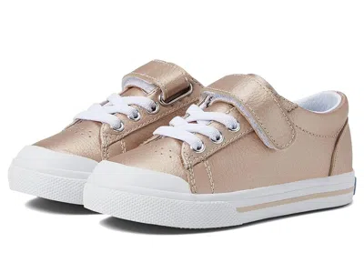 Footmates Reese (infant/toddler/little Kid) Girl's Shoes Rose Gold Leather : 3 Little Kid M/w In Multi