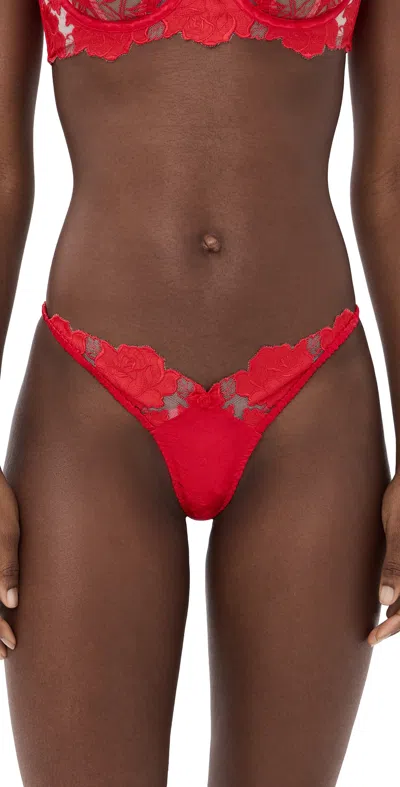 For Love & Lemons Love Is A Rose Thong Panty In Red