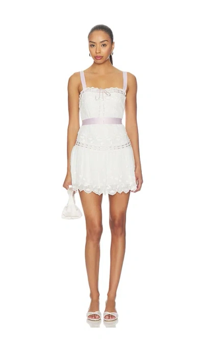 For Love & Lemons Noah Embroidered Mini Dress In Multi