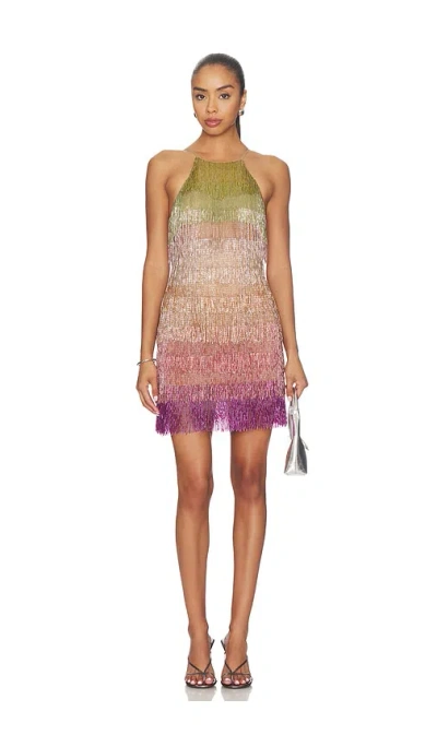 For Love & Lemons Tropic Crush Mini Dress In Multi