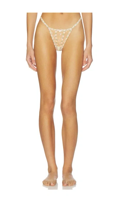 For Love & Lemons Twilight Rose Thong Panty In Multi