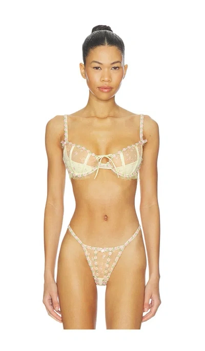 For Love & Lemons Twilight Rose Underwire Bra In Multi