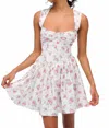 For Love & Lemons August Floral Minidress In Multi