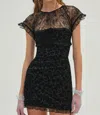 For Love & Lemons Midnight Velvet Mini Dress In Black In Black
