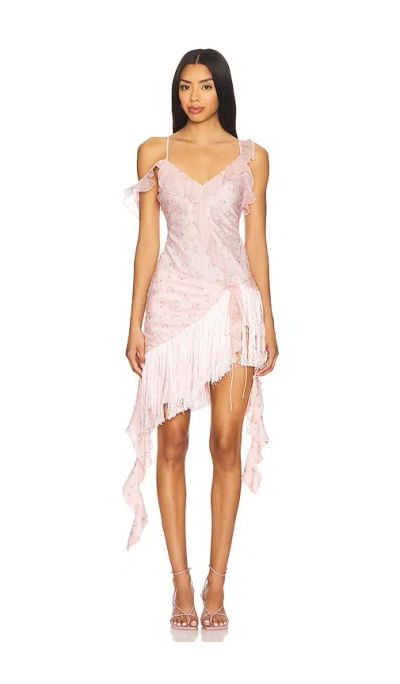 For Love & Lemons Raspberry Rose Mini Dress In Pink