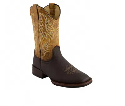 Forastero Men's Bicolor Leather Cowboy Boots In Brown