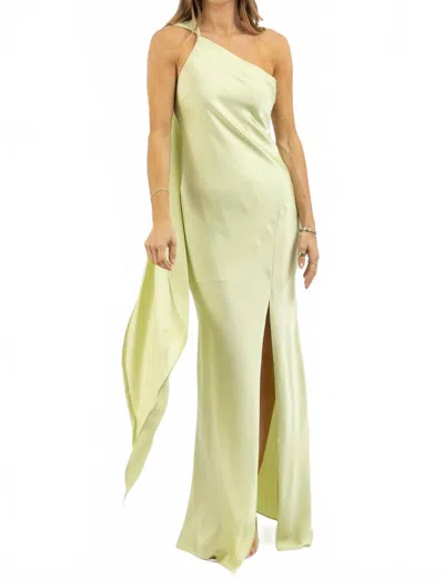 Fore Collection Calypso Scarf Dress In Sage In Multi