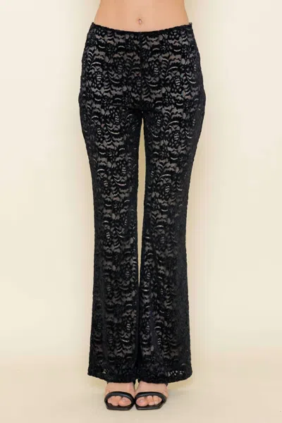 Fore Collection Lace Sheer Pants In Black