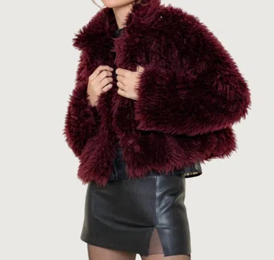 Fore Collection Winnie Faux Fur Coat In Red In Multi