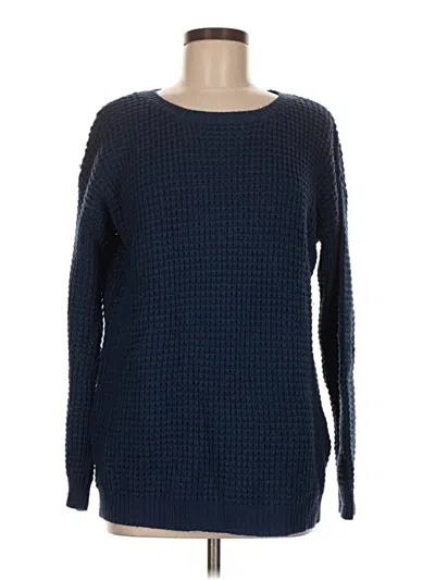 Pre-owned Forever 21 Pullover Sweater In Blue