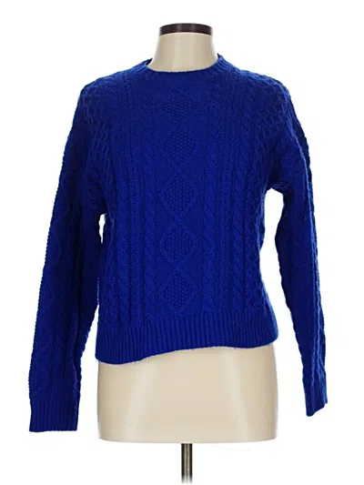 Pre-owned Forever 21 Pullover Sweater In Blue