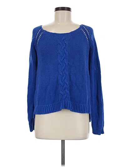 Pre-owned Forever 21 Pullover Sweater In Blue