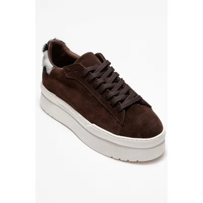 Forever & Always Shoes Anabel Leather Platform Sneakers In Brown