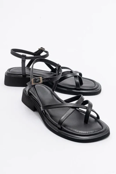 Forever & Always Shoes Antas Strappy Leather Flat Sandals In Black Leather