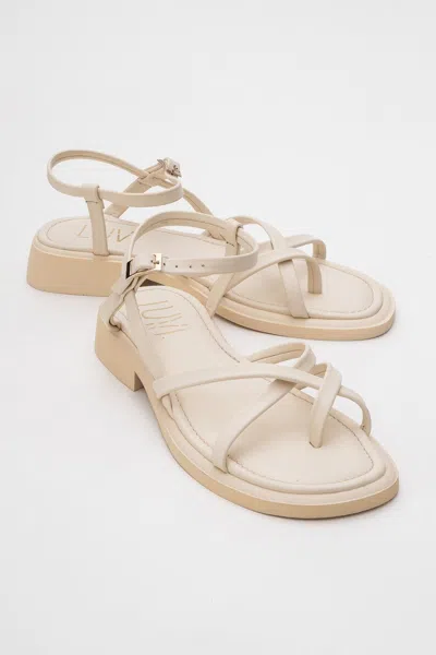 Forever & Always Shoes Antas Strappy Leather Flat Sandals (women)