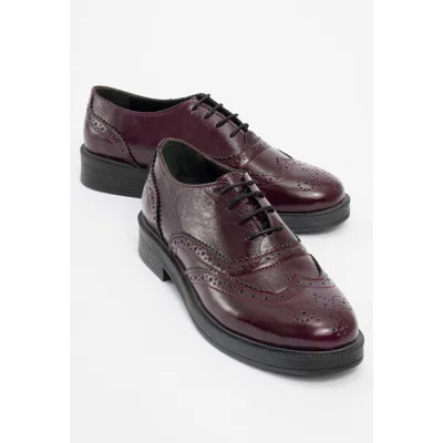 Forever & Always Shoes Avra Leather Oxford