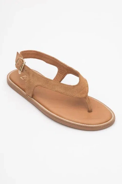 Forever & Always Shoes Belinda Leather Thong Sandals