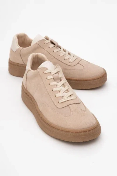 Forever & Always Shoes Fyore Leather Sneakers In Beige Suede Leather