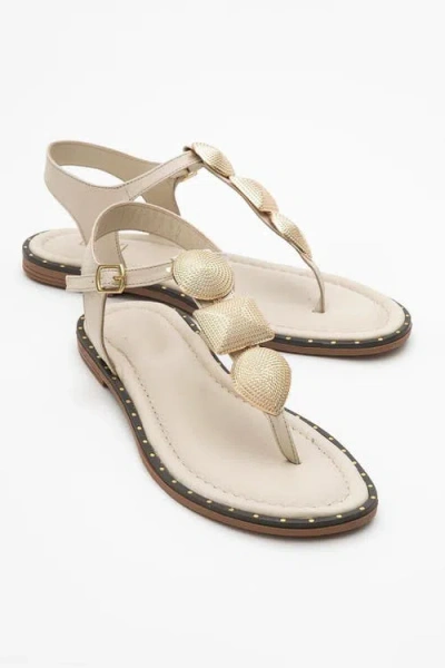 Forever & Always Shoes Giulia Leather Flat Sandal In Brown