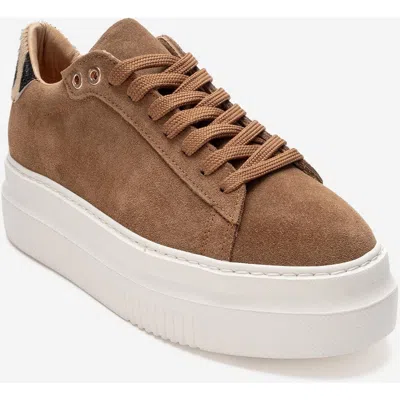 Forever & Always Shoes Nera Leather Casual Sneaker In Brown