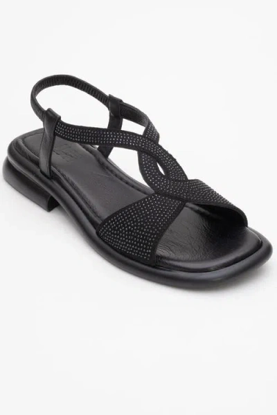 Forever & Always Shoes Sieglinde Embellished Leather Sandal In Black