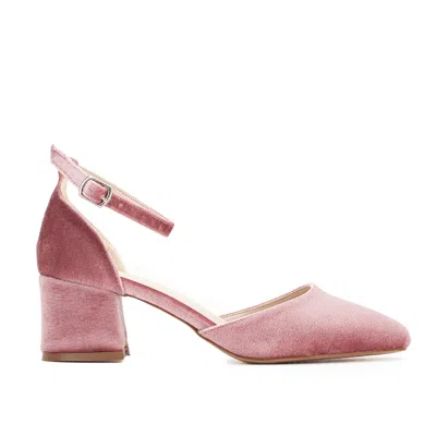 Forever & Always Shoes Women's Pink / Purple Marcelle - Rose Velvet Low Heels In Royal Rose Velvet