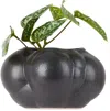 Forma Rosa Studio Gray Mini Botryoidal Planter In Charcoal