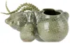 Forma Rosa Studio Green Botryoidal Planter In Green