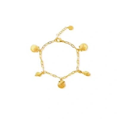 Formation Multi Charm Shell Bracelet In Gold