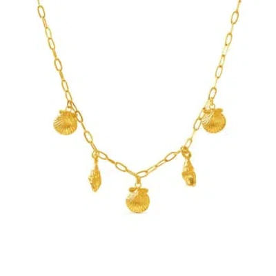 Formation Multi Charm Shell Necklace In Gold