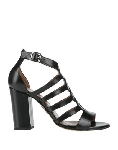 Formentini Woman Sandals Black Size 11 Soft Leather