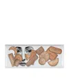 Fornasetti 175 Anniversary Edition Porcelain Biscotti Rectangular Tray