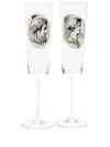 Fornasetti Cammei Flute Glasses (set Of Two) In White