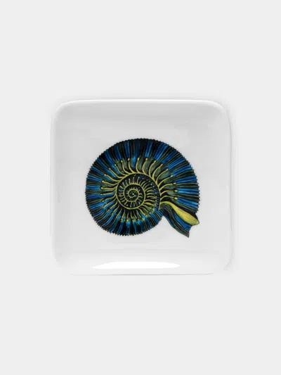 Fornasetti Conchiglia Fossile Hand-painted Porcelain Ashtray In Multi
