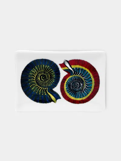 Fornasetti Conchiglia Fossile Hand-painted Porcelain Ashtray In Multi