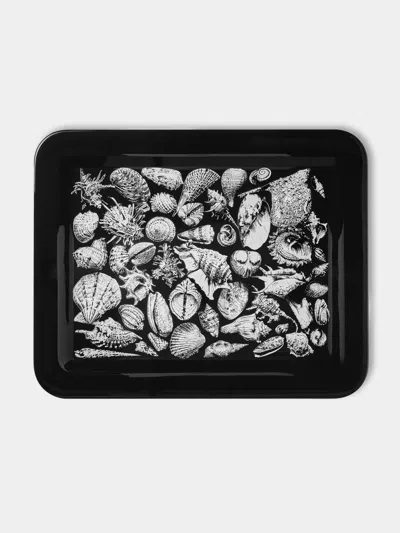 Fornasetti Conchiglie Wood Tray (23.5in/60cm)