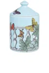 Fornasetti Small Farfalle E Balaustra Candle In N,a