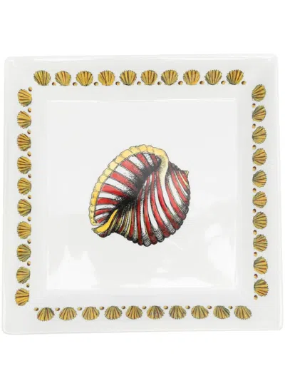 Fornasetti Giro Di Conchiglie Plate In Multi