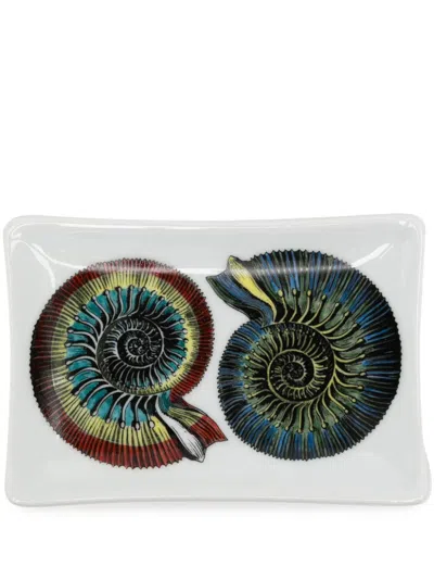 Fornasetti Giro Di Conchiglie Porcelain Ashtray