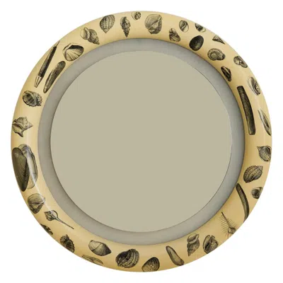 Pre-owned Fornasetti Italian Shell Motif Backlit Wall Mirror In The Manner Of , 1960s In Brown