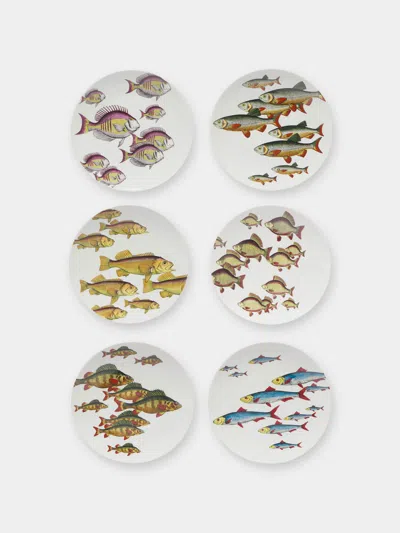 Fornasetti Passata Di Pesci Hand-painted Porcelain Plates - 10in/26cm (set Of 6) In White