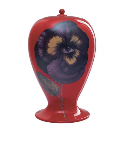 Fornasetti Pensee Vase In Red