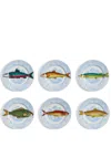 Fornasetti Set 6 Plates Piscibus In Mul