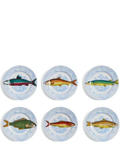 Fornasetti Set 6 Plates Piscibus In Multicolour