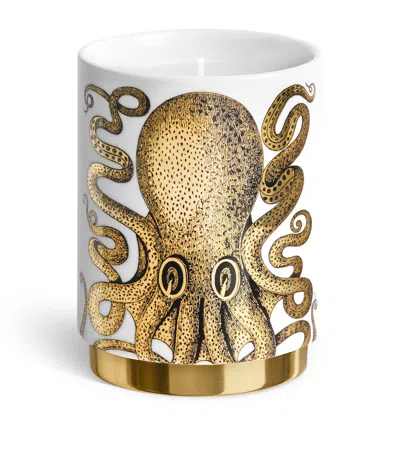 Fornasetti Polipo Immaginazione Scented Candle
