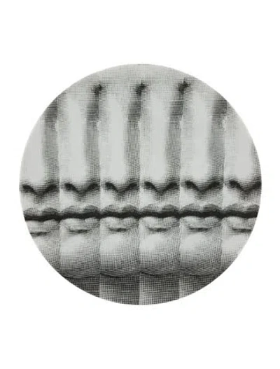 Pre-owned Fornasetti Porcelain Tema E Variazioni N. 238 Wall Plate. In White