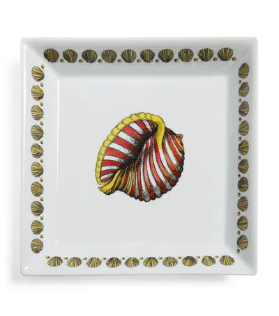 Fornasetti Square Giro Di Conchiglie Plate In White