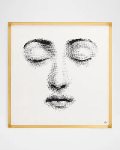 Fornasetti Tema E Variazioni No. 213 Decorative Panel In Multi