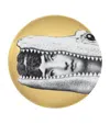 Fornasetti Tema E Variazioni No. 233 Wall Plate